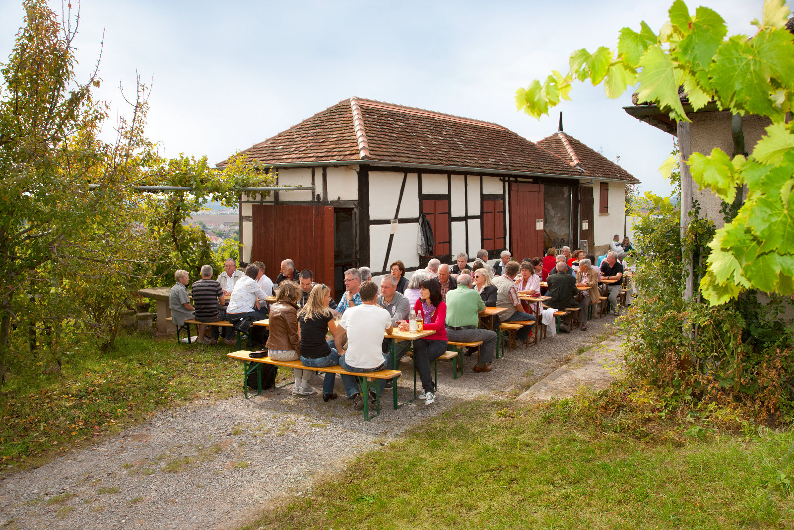 tl_files/bilder/highlights/IMG_0117_Weinprobierstand kleiner.jpg