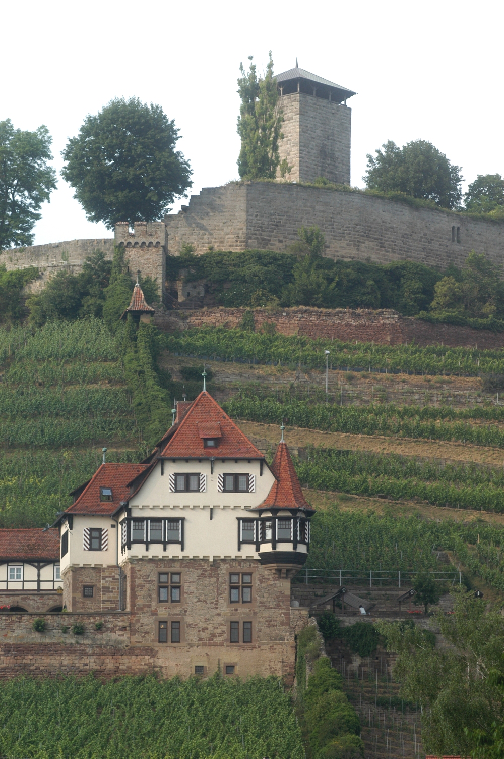 Burg Hohenbeilstein mit Burgfalknerei Hohenbeilstein