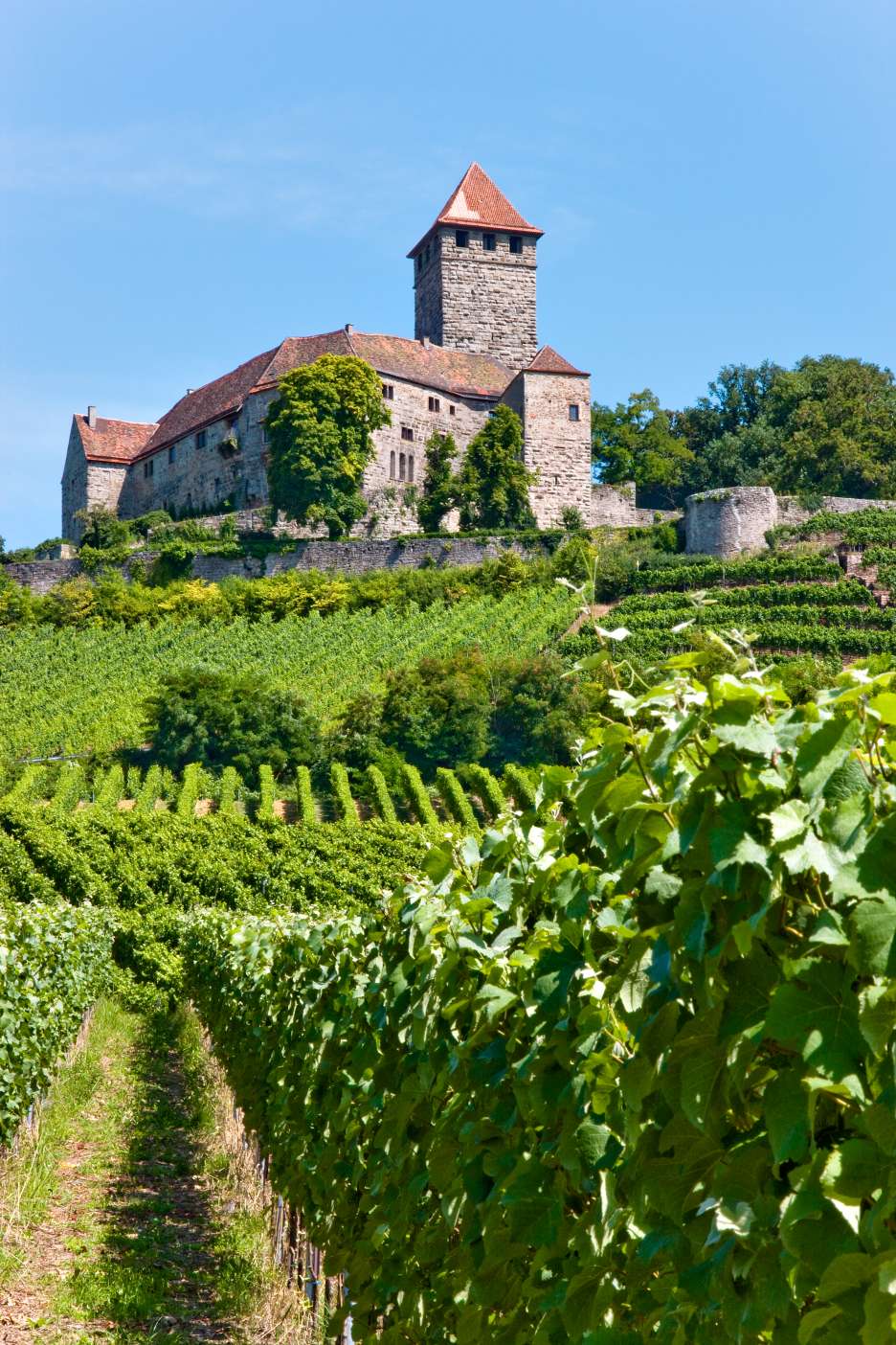 Burg Lichtenberg